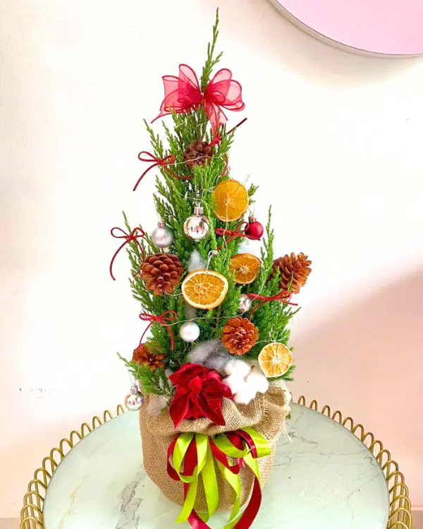 cay-son-tung-noel-phut-giay-an-lanh (1).jpg