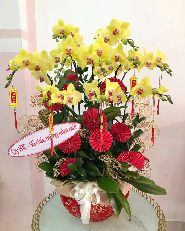 chau-lan-ho-diep-chuc-tet-van-nien.jpg